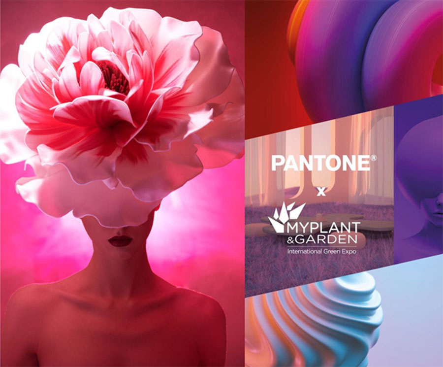 Pantone: the Metaverse preview